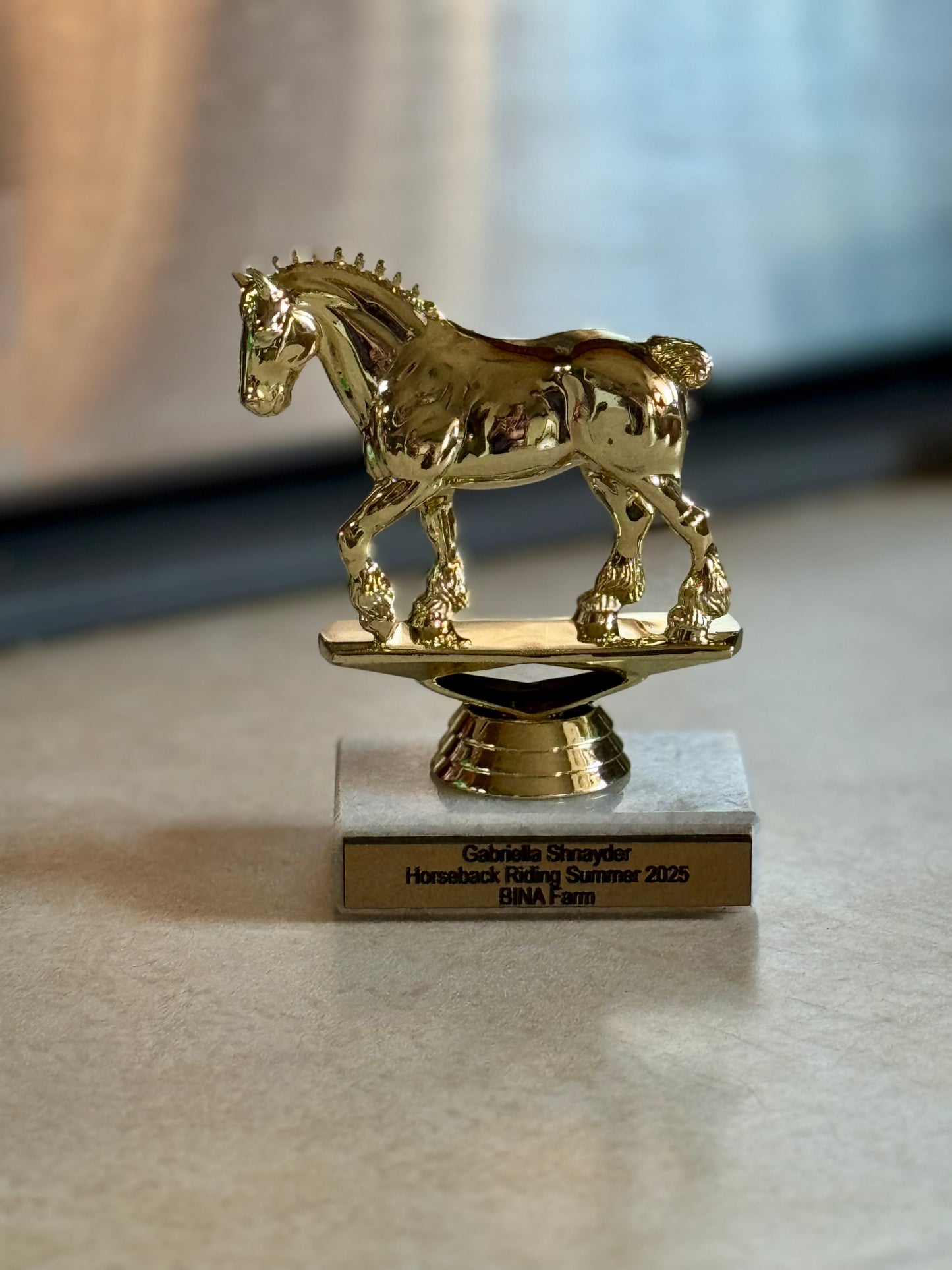 Custom 6" Draft Horse Award with Marble Base - CDS Laser & Design