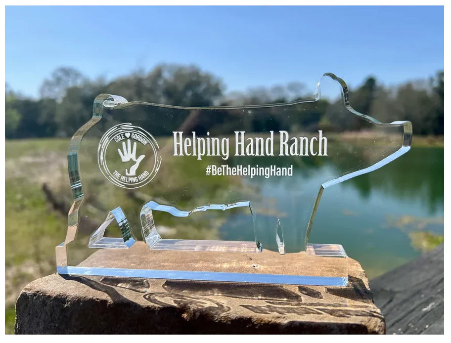 Pig Swine Acrylic Award | Custom Hogg Show | Custom 4-H Award | FFA Livestock Show Trophy